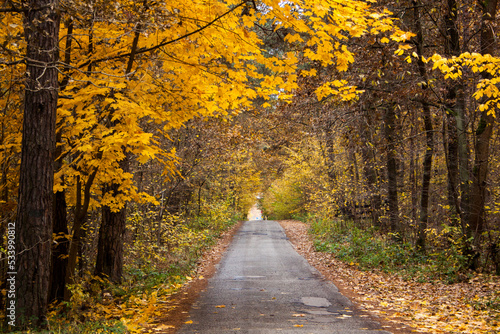 Autumn Road in Lublin Poland © R