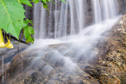 a small waterfall, water gently flowing in a stream, in the forest