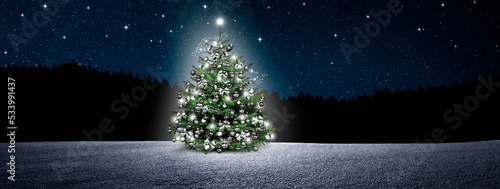 Weihnachtbaum im Nächtlichen Winterwald