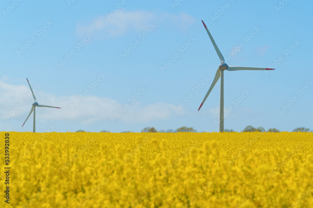 Wind turbine in a rapeseed field on a sunny summer day