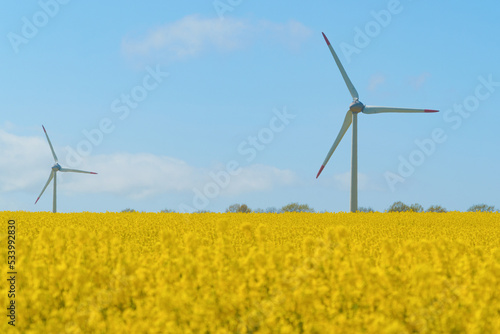 Wind turbine in a rapeseed field on a sunny summer day