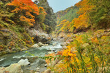 奥多摩鳩ノ巣渓谷と鳩ノ巣小橋の秋の風景