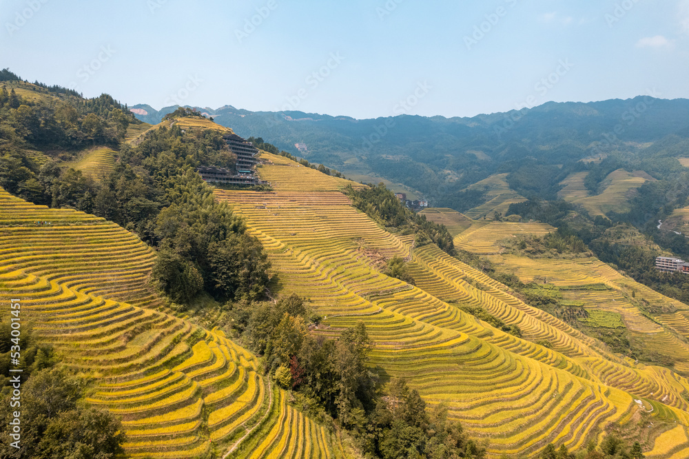 dragon terraced fields in Guilin Guangxi China