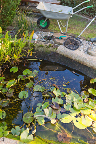 pond with lilies, ready for cleaning the pond