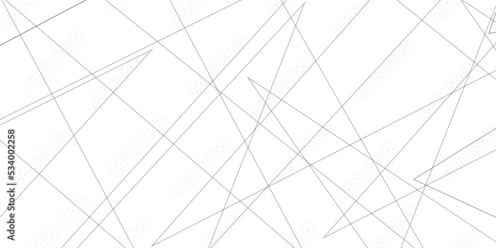 Abstract lines in black and white tone of many squares and rectangle shapes on white background. Metal grid isolated on the white background. nervures de feuilles mortes, fond rectangle and geometric