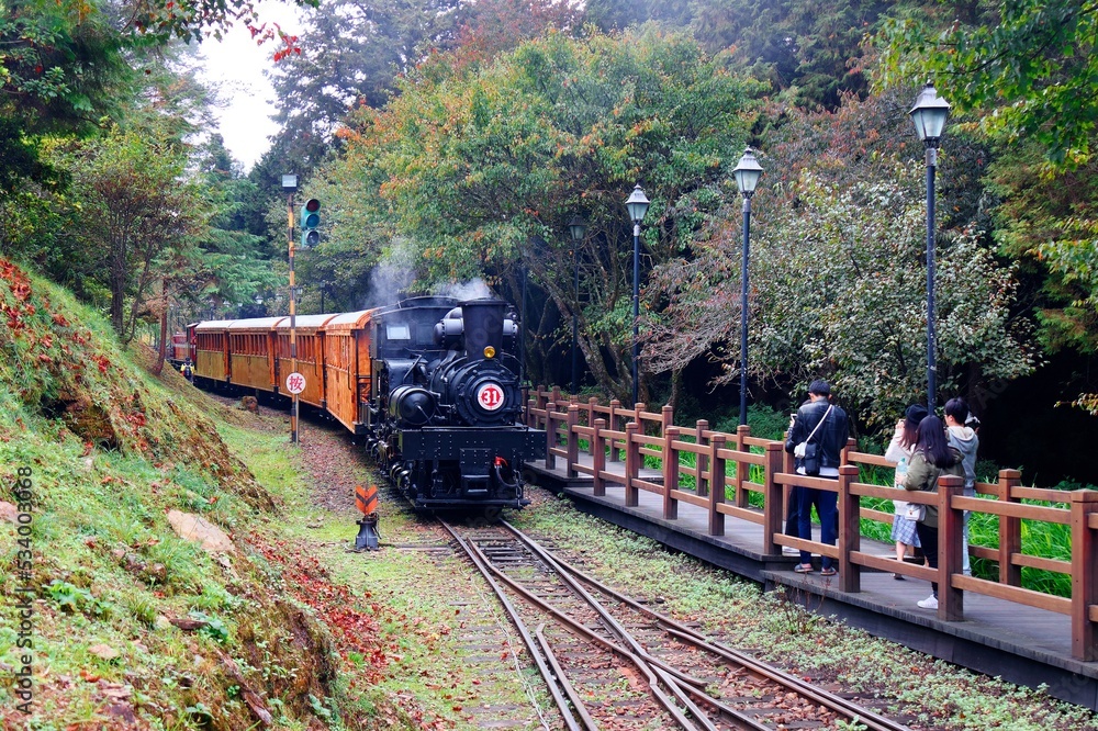 A tourist train of retro carriages traveling thru the lush forest and people, on the paved hiking path, taking photos of the antique steam locomotive, in Alishan National Scenic Area, Chiayi, Taiwan A tourist train of retro carriages traveling thru the lush forest and people, on the paved hiking path, taking photos of the antique steam locomotive, in Alishan National Scenic Area, Chiayi, Taiwan