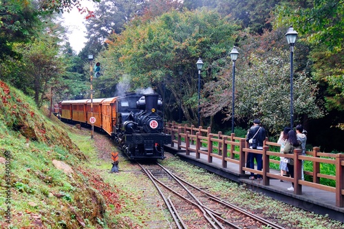 A tourist train of retro carriages traveling thru the lush forest and people, on the paved hiking path, taking photos of the antique steam locomotive, in Alishan National Scenic Area, Chiayi, Taiwan