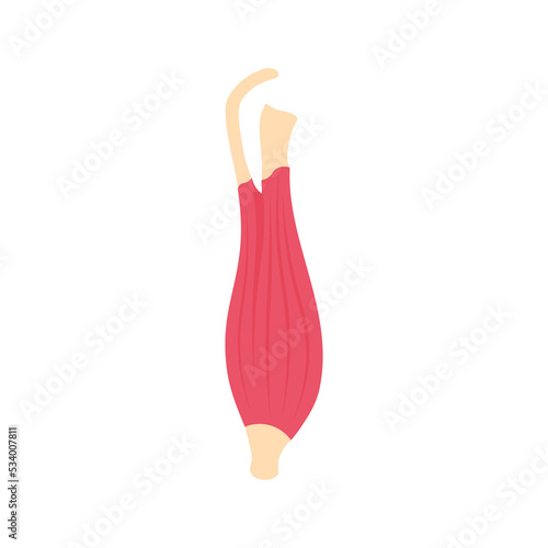 Section of muscle. Muscle flat symbol. Collection of muscle and anatomy stock symbol for web.