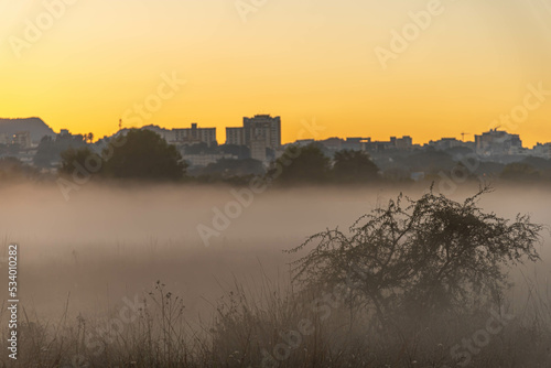 winter dawn with fog formation