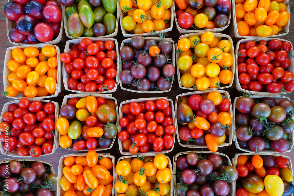 Baskets of colorful cherry tomatoes at the farmers market Baskets of colorful cherry tomatoes at the farmers market