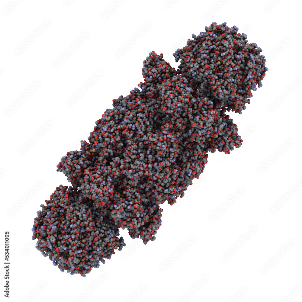 Proteasome from yeast, chemical structure. The proteasome is a huge
