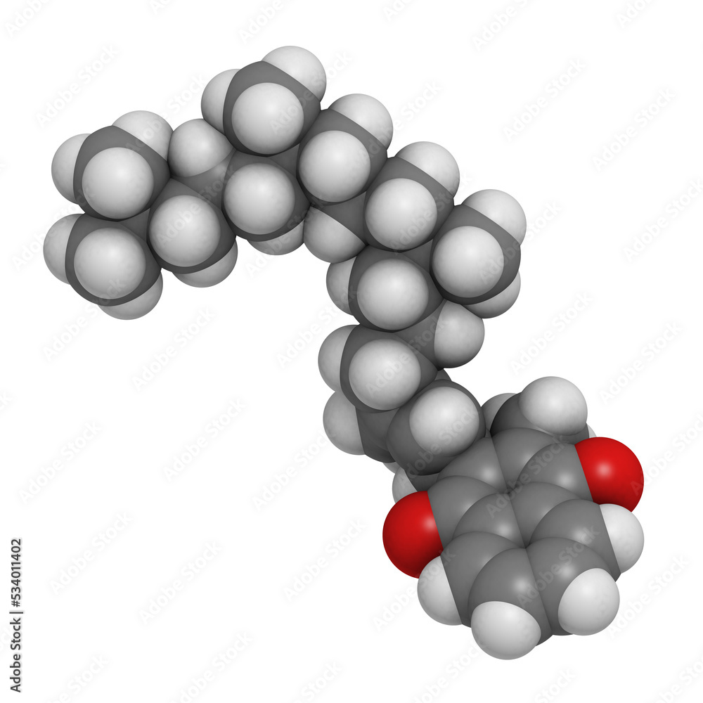 Vitamin K1 (phylloquinone) molecule Vitamin K1 (phylloquinone) molecule