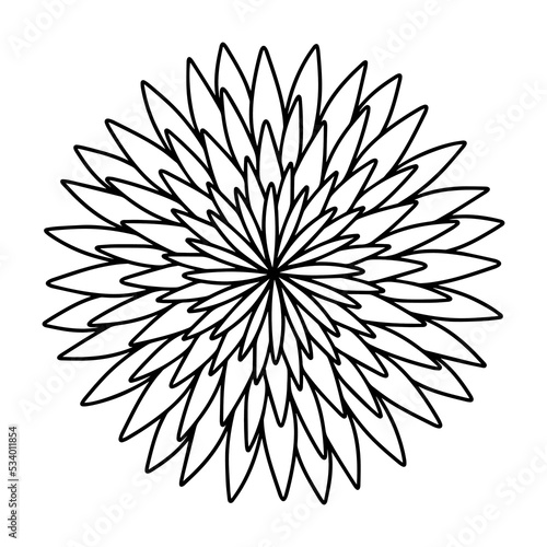 Symmetrical Aster Flower In Hand Drawn Cartoon Doodle Style Isolated on a White Background. Outline Sketch, Print, Graphic Icon, Logo, Floral Decorative Element for Postcards Design, Nature Patterns.