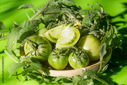 Fresh green tomatoes on a solid background
