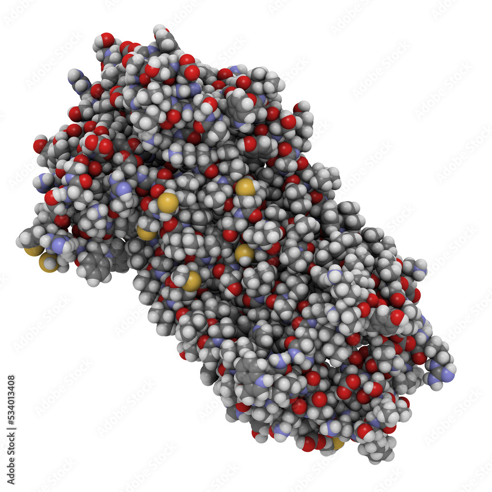 Substance P neuropeptide molecule, chemical structure. Substance P neuropeptide molecule, chemical structure.