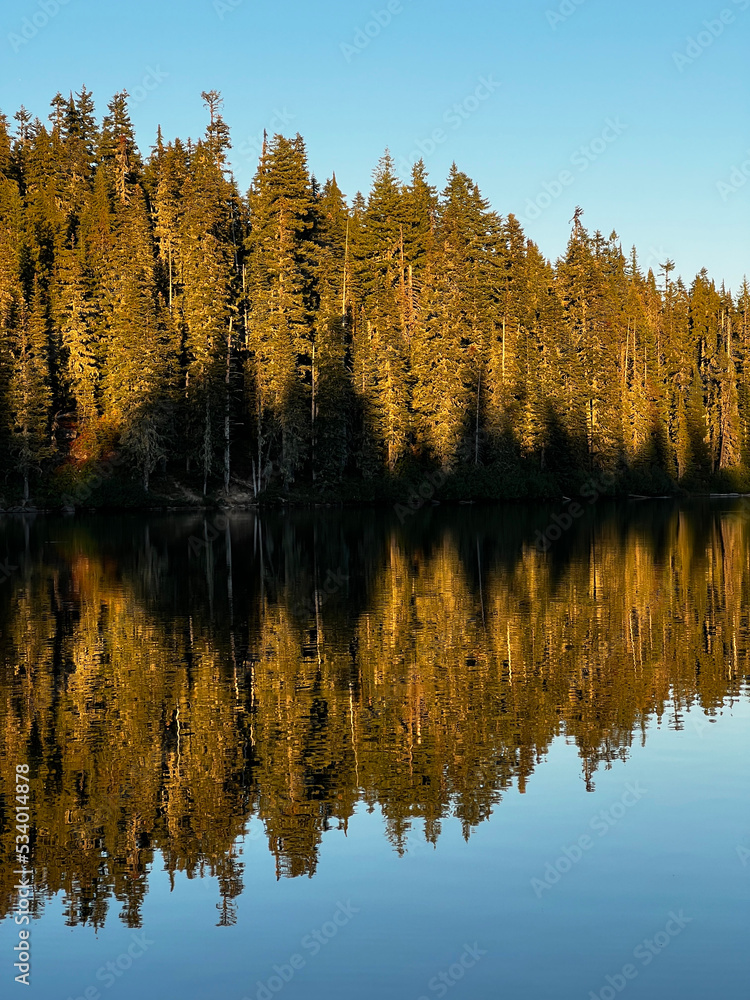 Reflections of evergreen trees with shadows from trees on the other side of a small mountain lake