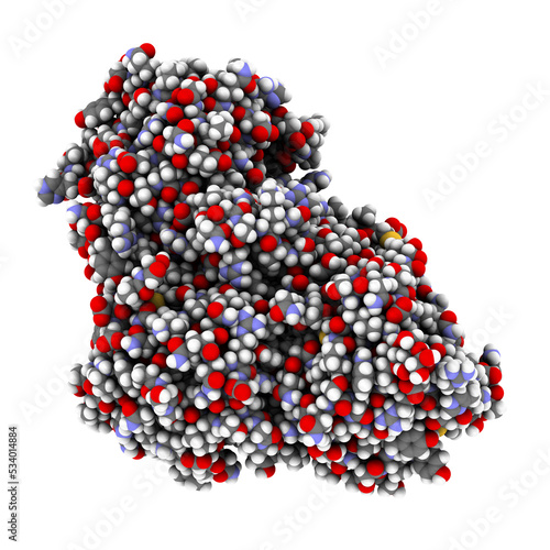 Ricin castor bean plant poisonous protein, chemical structure. photo