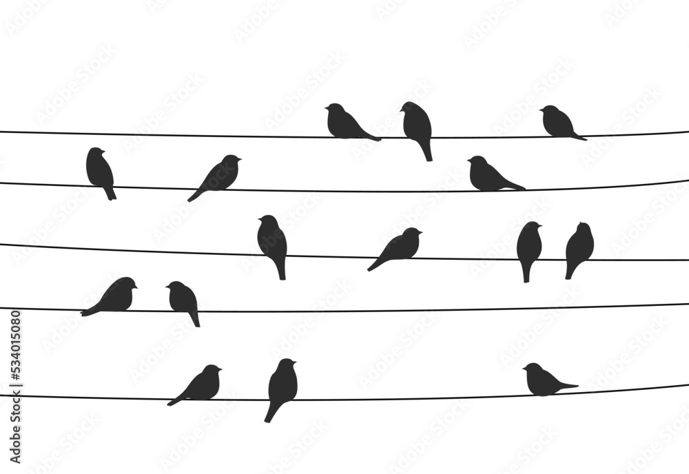 Flock of birds on power lines. Vector sparrow, bullfinch or tit
