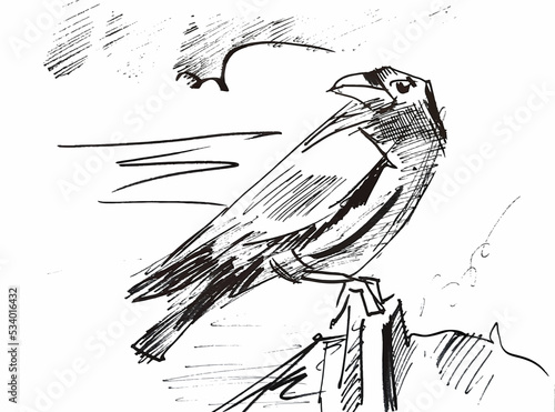 A crow cartoon drawing 2d. Ink illustration., ink illustration. Vector EPS 10.