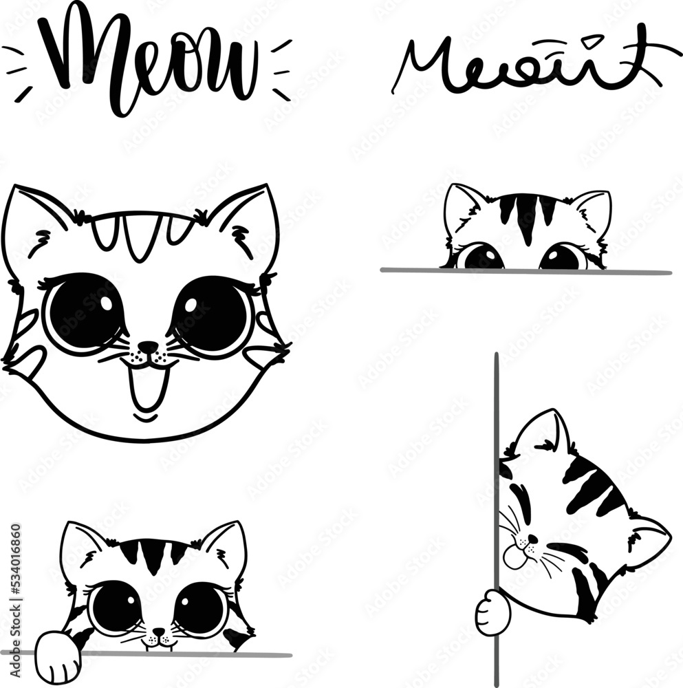 Fototapeta premium Cats