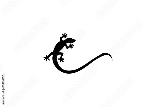 
Lizard vectors design and illustration.