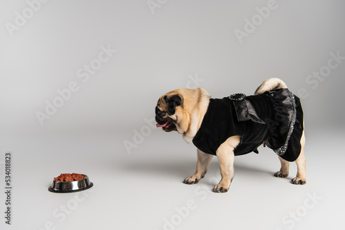 side view of purebred pug dog in pet clothes standing near stainless bowl with pet food on grey background.