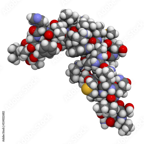 Human parathyroid hormone (PTH, parathormone, parathyrin), chemical structure