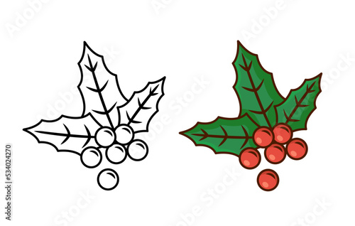 European christmas berry holly ilex aquifolium leaves and fruit. Floral branch red xmas winter decor christmas berry symbol. Vector decorative holly christmas leaf traditional ornament symbol