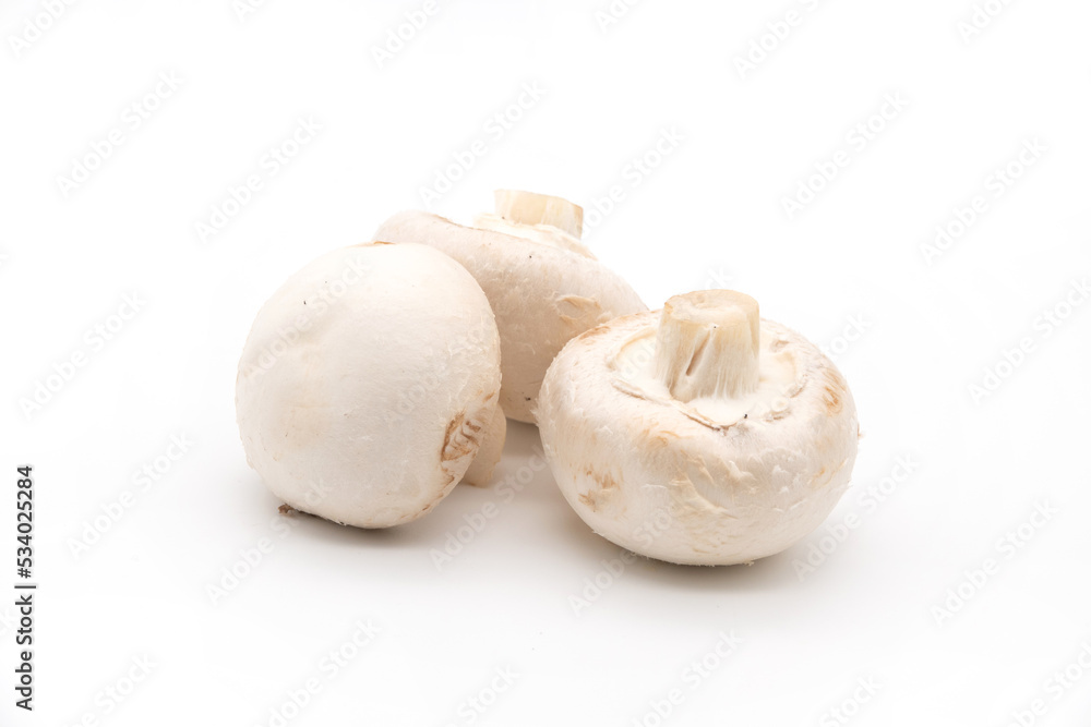Mushrooms. View from above. Close-up of three mushrooms. Delicious and healthy mushrooms are grown at home. Fresh raw mushroom. Food. Cooking. Veganism. Isolated. Mushrooms. View from above. Close-up of three mushrooms. Delicious and healthy mushrooms are grown at home. Fresh raw mushroom. Food. Cooking. Veganism. Isolated.