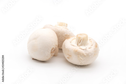 Mushrooms. View from above. Close-up of three mushrooms. Delicious and healthy mushrooms are grown at home. Fresh raw mushroom. Food. Cooking. Veganism. Isolated.