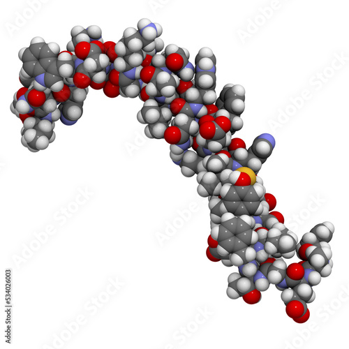 Glucose-dependent insulinotropic peptide (gastric inhibitory polypeptide, GIP) molecule. Endocrine hormone (incretin) that induces insulin secretion. photo