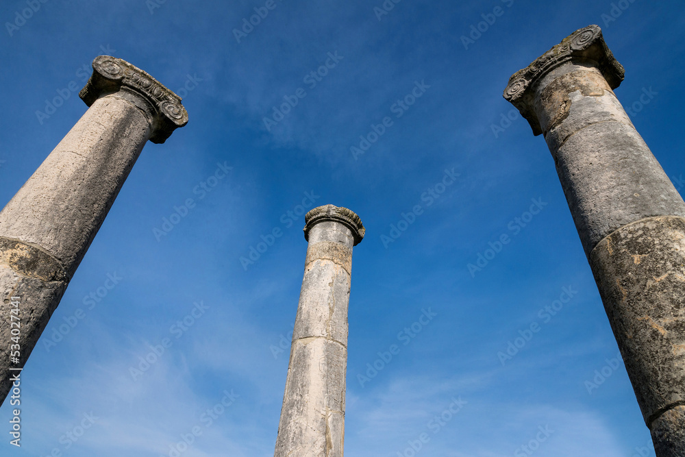 Altilia, colonne della basilica.