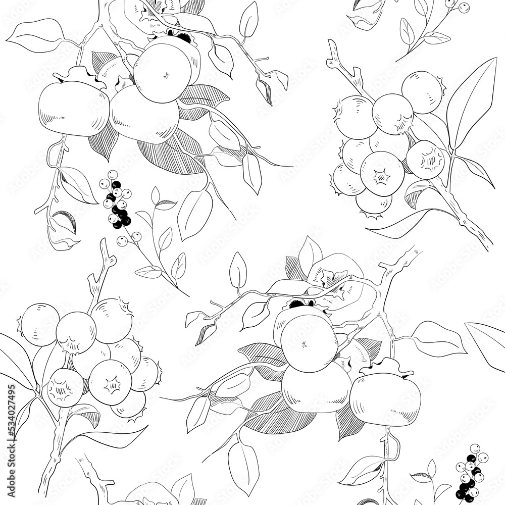 Fototapeta premium Sharon fruits and berries line art ink style pattern. Suitable for background, wallpaper, card and packaging.