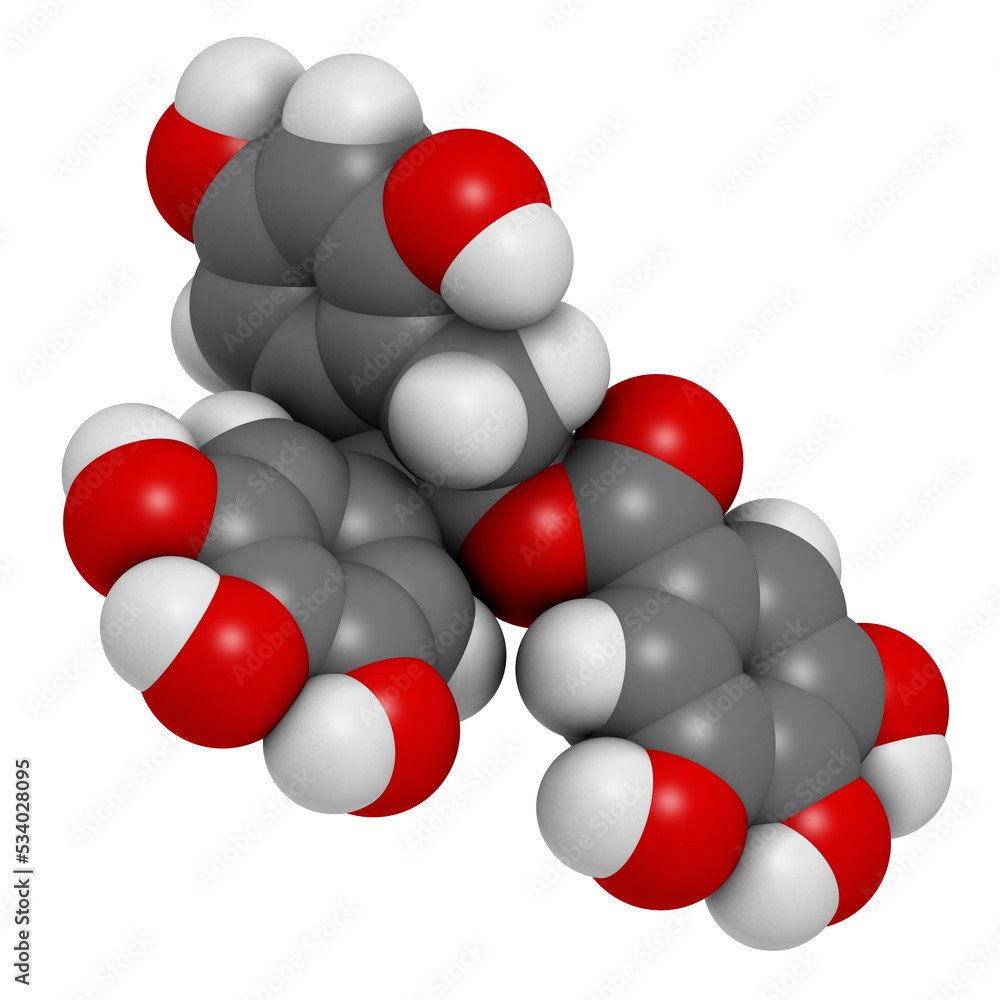 Epigallocatechin gallate (EGCG) green tea polyphenol molecule. Has antioxidant properties and may contribute to health effects of tea. Epigallocatechin gallate (EGCG) green tea polyphenol molecule. Has antioxidant properties and may contribute to health effects of tea.