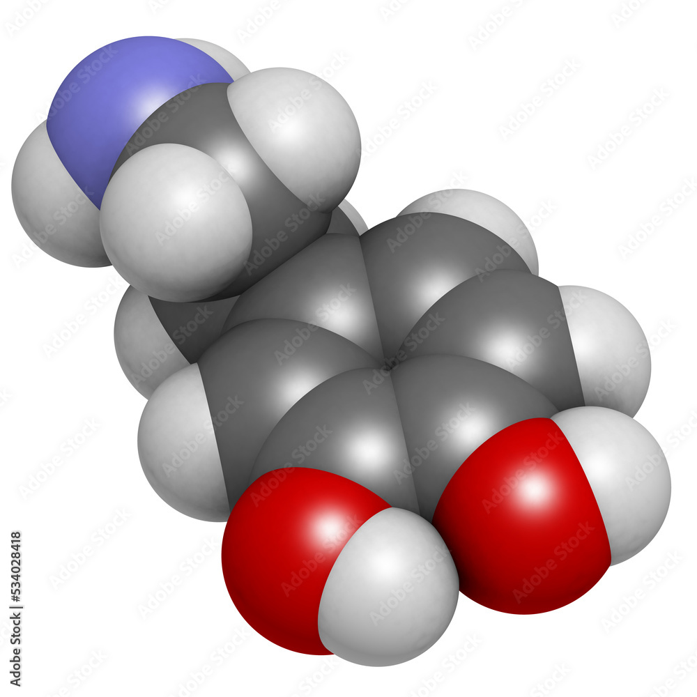 Dopamine neurotransmitter molecule, chemical structure Dopamine neurotransmitter molecule, chemical structure