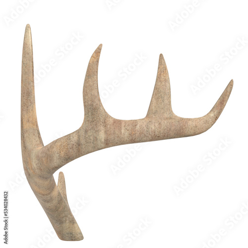 3d rendering illustration of antlers