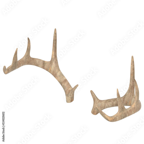 3d rendering illustration of antlers