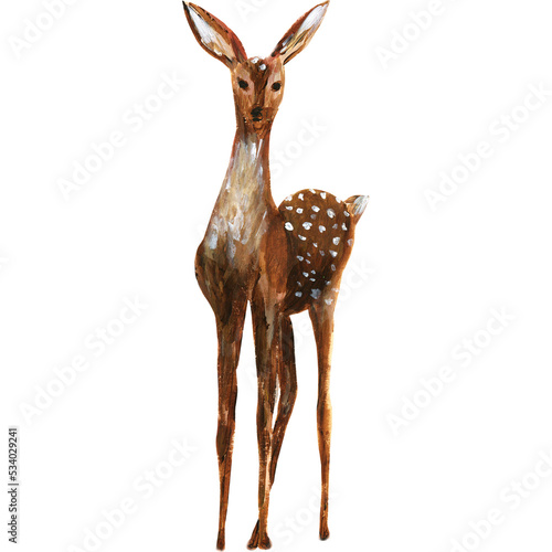 Forest deer watercolor illustration.