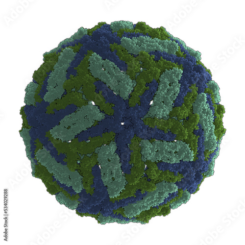 Dengue virus. Causes dengue fever (breakbone fever). Atomic-level structure. photo