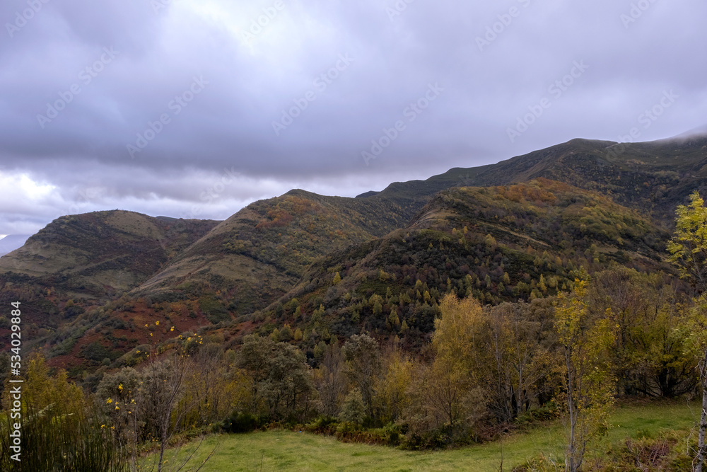 Autumn colours in Serra do Courel