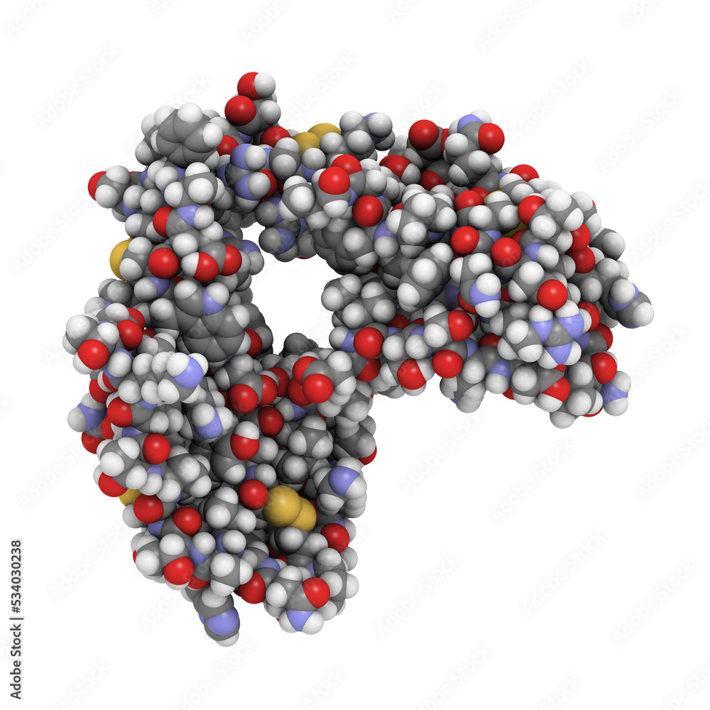 Cobra snake venom molecule: chemical structure of the alpha-cobratoxin molecule of Naja kaouthia cobra. Cobra snake venom molecule: chemical structure of the alpha-cobratoxin molecule of Naja kaouthia cobra.