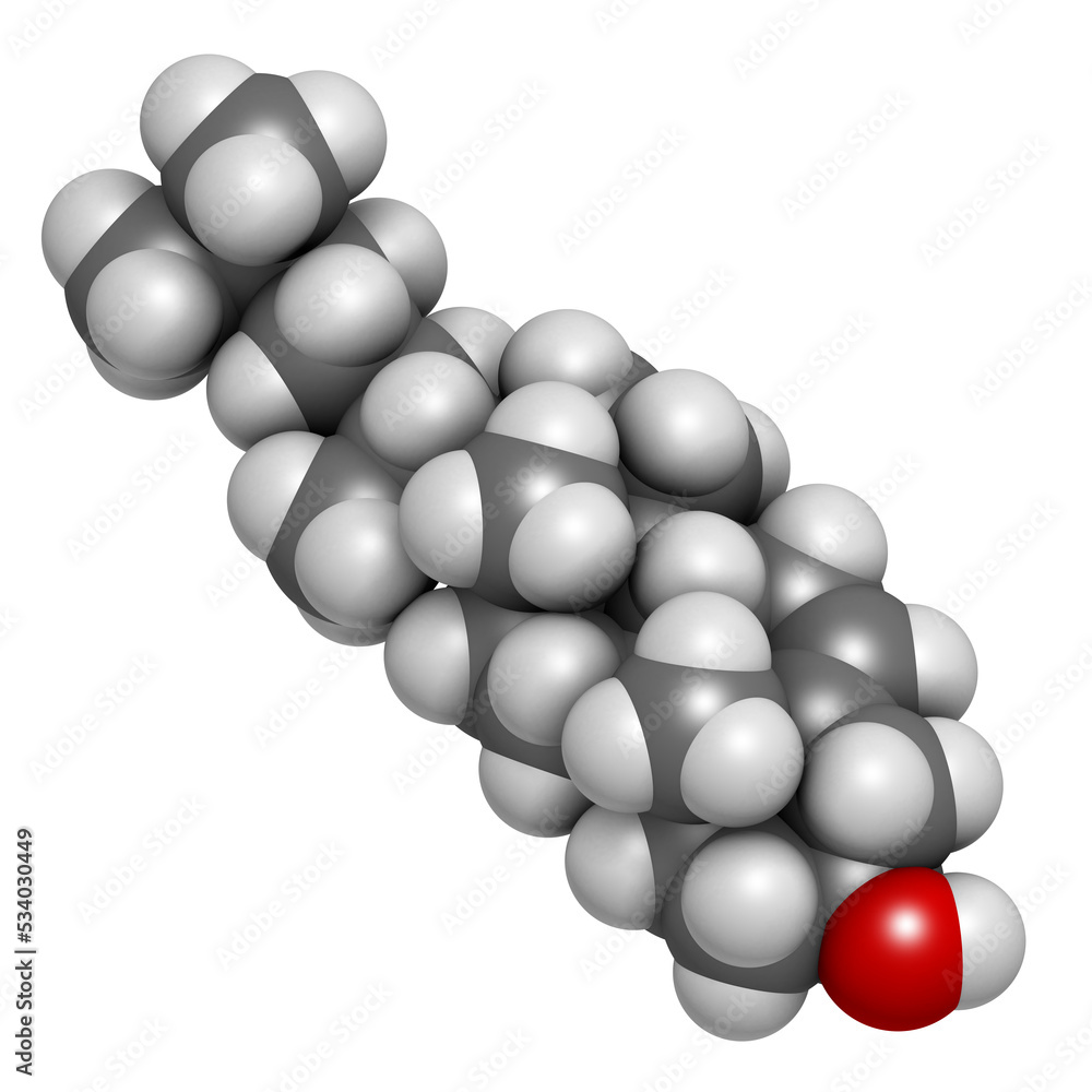 Cholesterol molecule. Essential component of cell membranes and