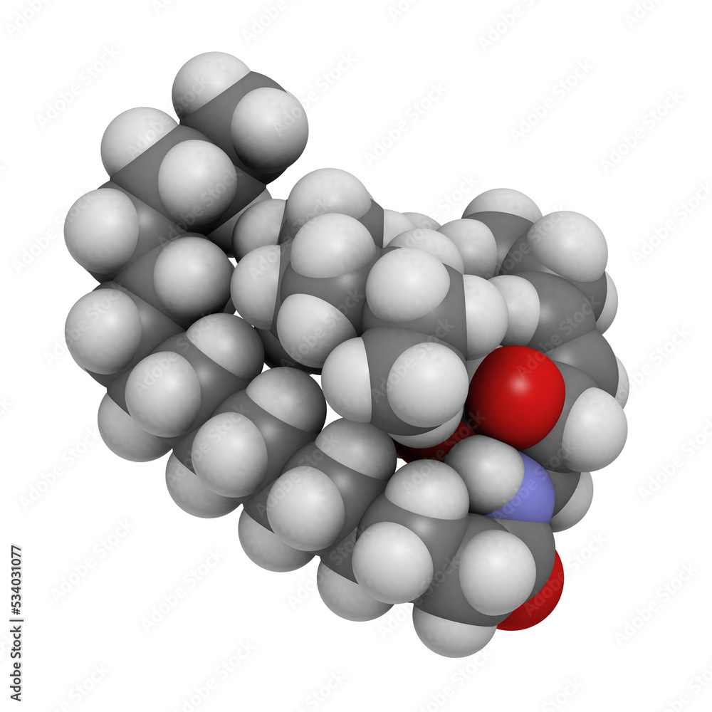 Ceramide cell membrane lipid, molecular model Ceramide cell membrane lipid, molecular model