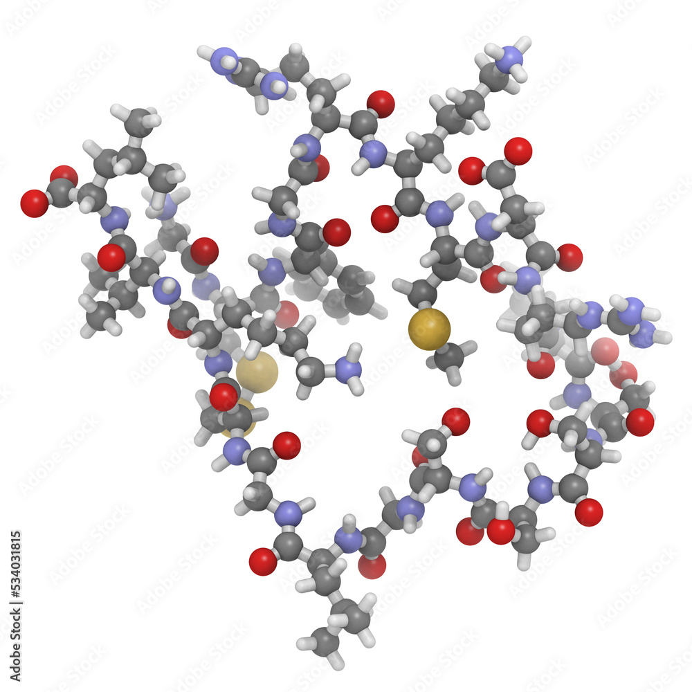 Brain or B-type natriuretic peptide (BNP) molecule, chemical structure.