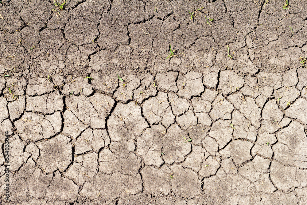 drought, cracked earth in the absence of moisture, abnormal hot weather. drought, cracked earth in the absence of moisture, abnormal hot weather.