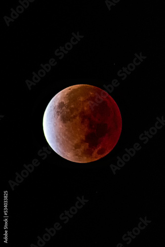 moon eclipse  the max point red moon blood 