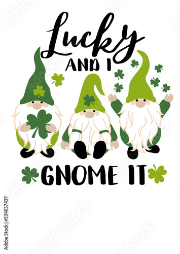 Lucky and I gnome it quote. St. Patricks day art. Cute gnomes in hats with shamrocks print
