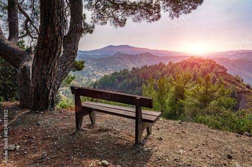 A bench under a large pine tree at a viewing platform on the island of Cyprus