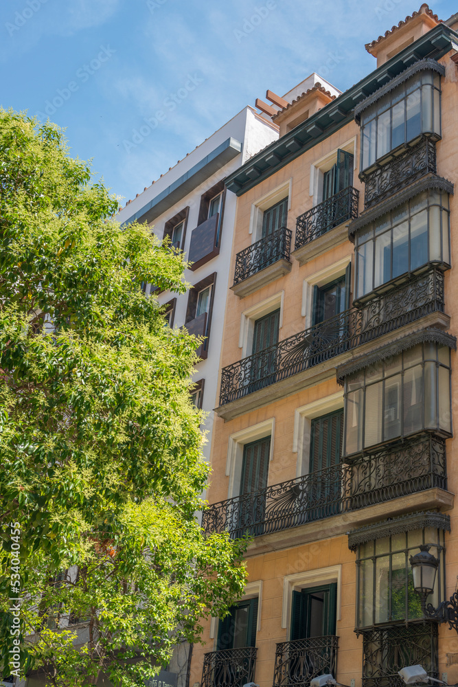 Yellow facades with plants of old houses with vintage retro wrought iron metal balconies with color patterns on an old brick building with glass windows and leafy trees on the streets Yellow facades with plants of old houses with vintage retro wrought iron metal balconies with color patterns on an old brick building with glass windows and leafy trees on the streets