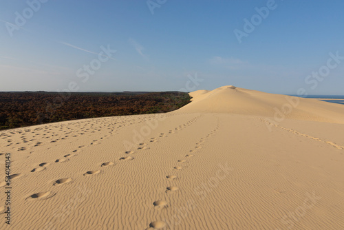 Fototapeta Naklejka Na Ścianę i Meble -  Dune du Pilat. High quality photo